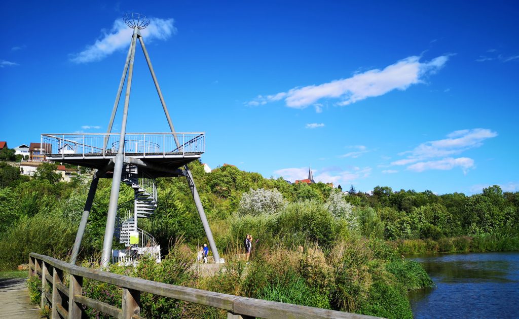 Neckarbiotop Zugwiesen Baden-Württemberg Ludwigsburg